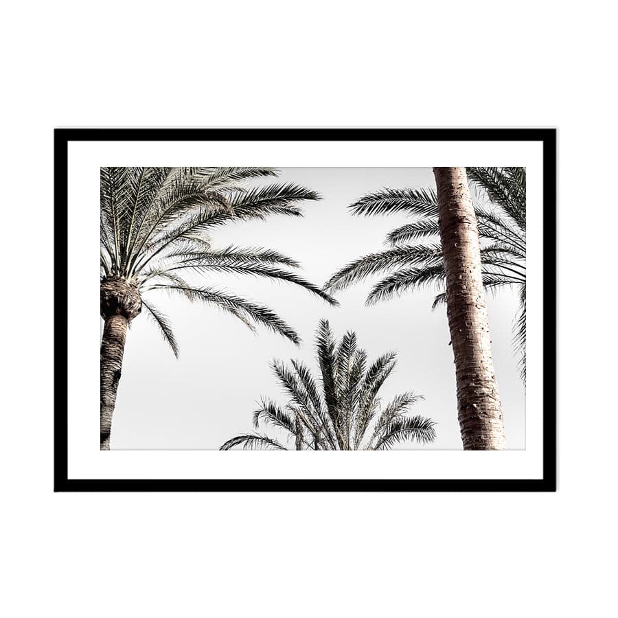 Palm 007 by Studio Scandi III