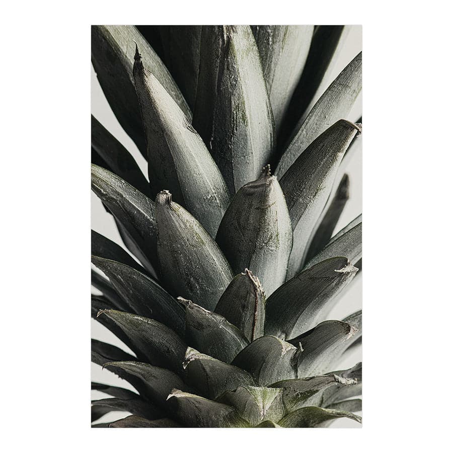 Pineapple Close Up by Studio Scandi III
