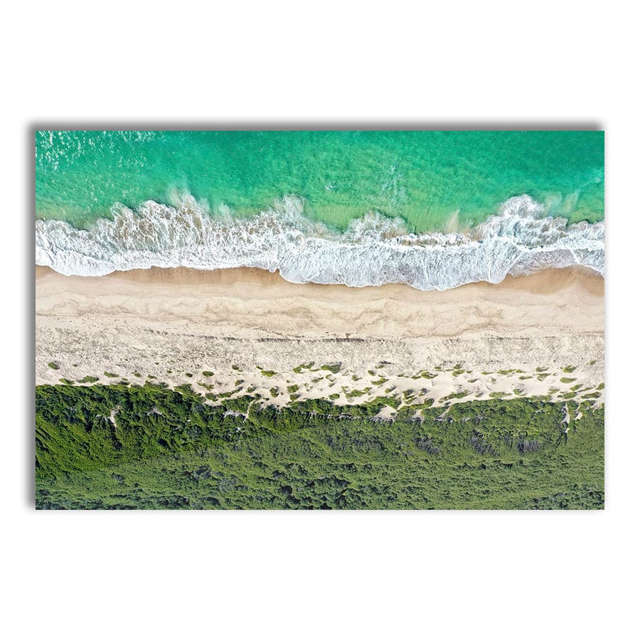 Beach Symphony, Birdie Beach by Beata Young