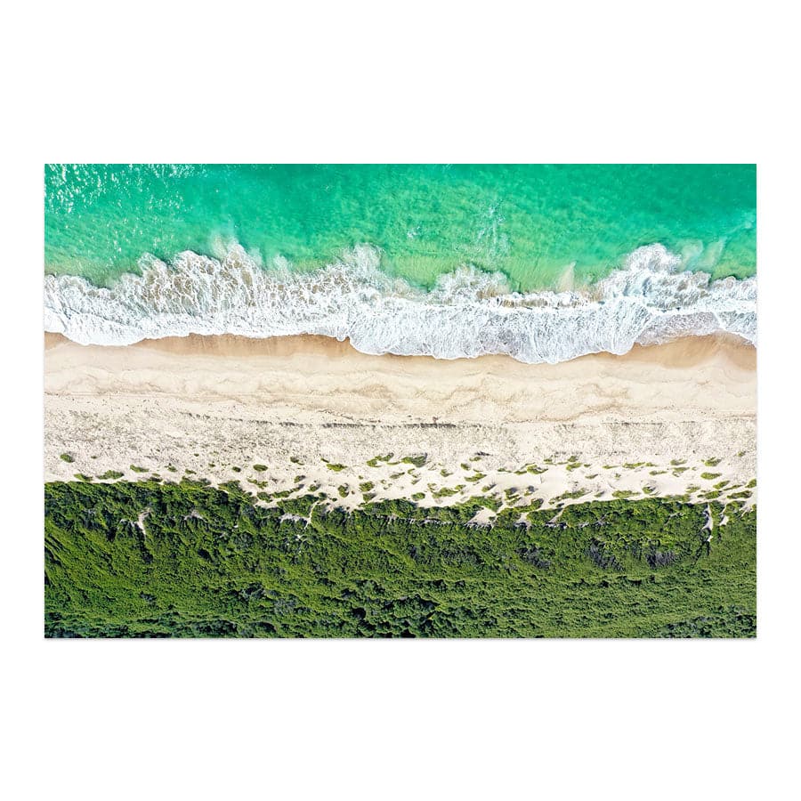Beach Symphony, Birdie Beach by Beata Young