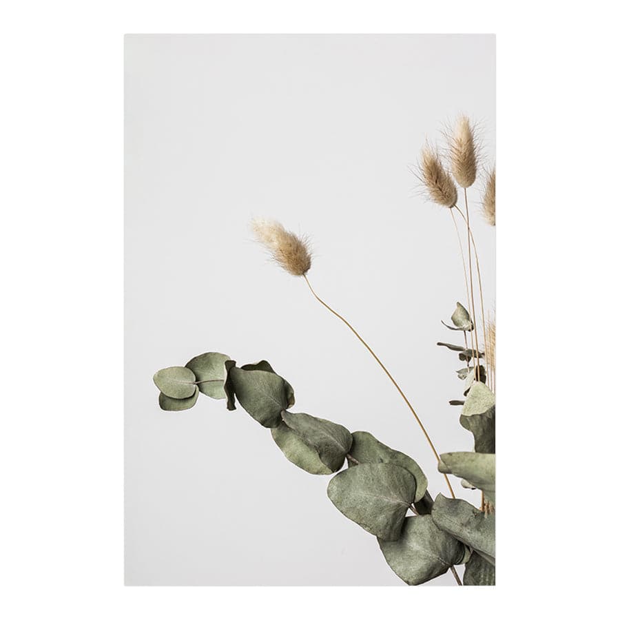 Dried Flowers 002 by Studio Scandi III