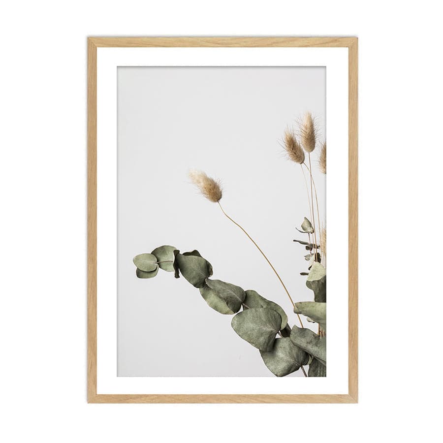 Dried Flowers 002 by Studio Scandi III