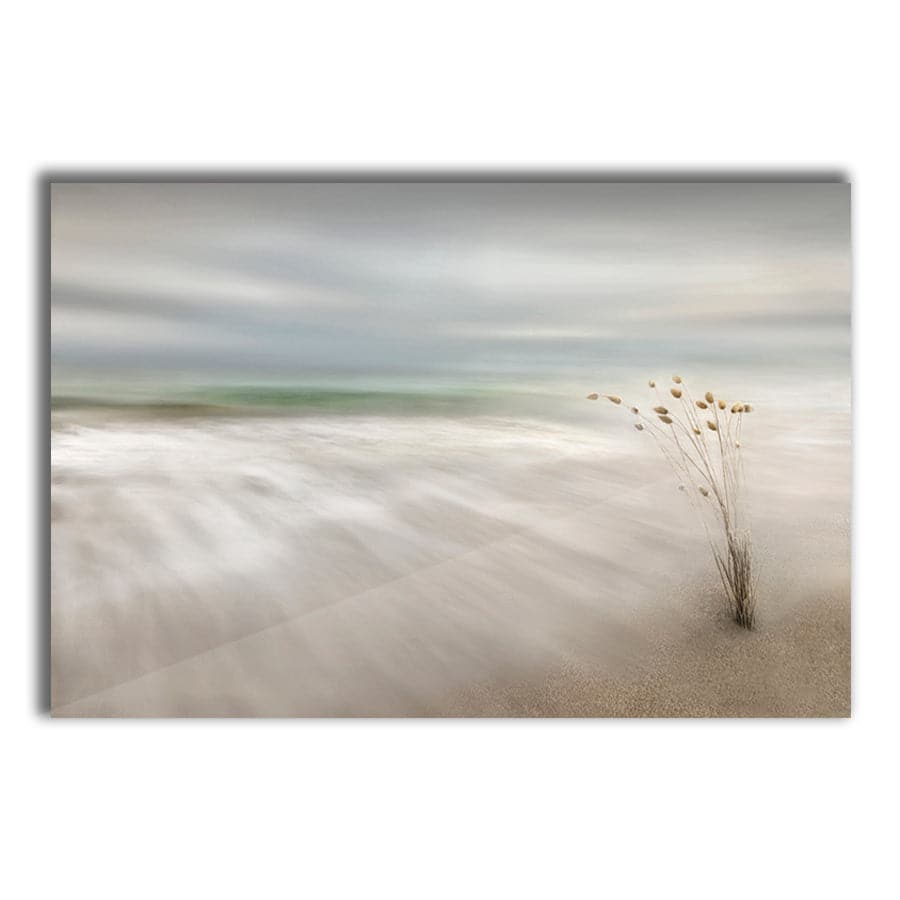 Ears in the Sea by Studio Scandi III