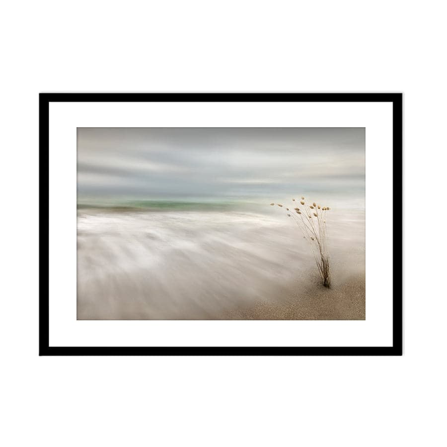 Ears in the Sea by Studio Scandi III