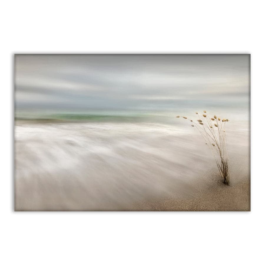 Ears in the Sea by Studio Scandi III