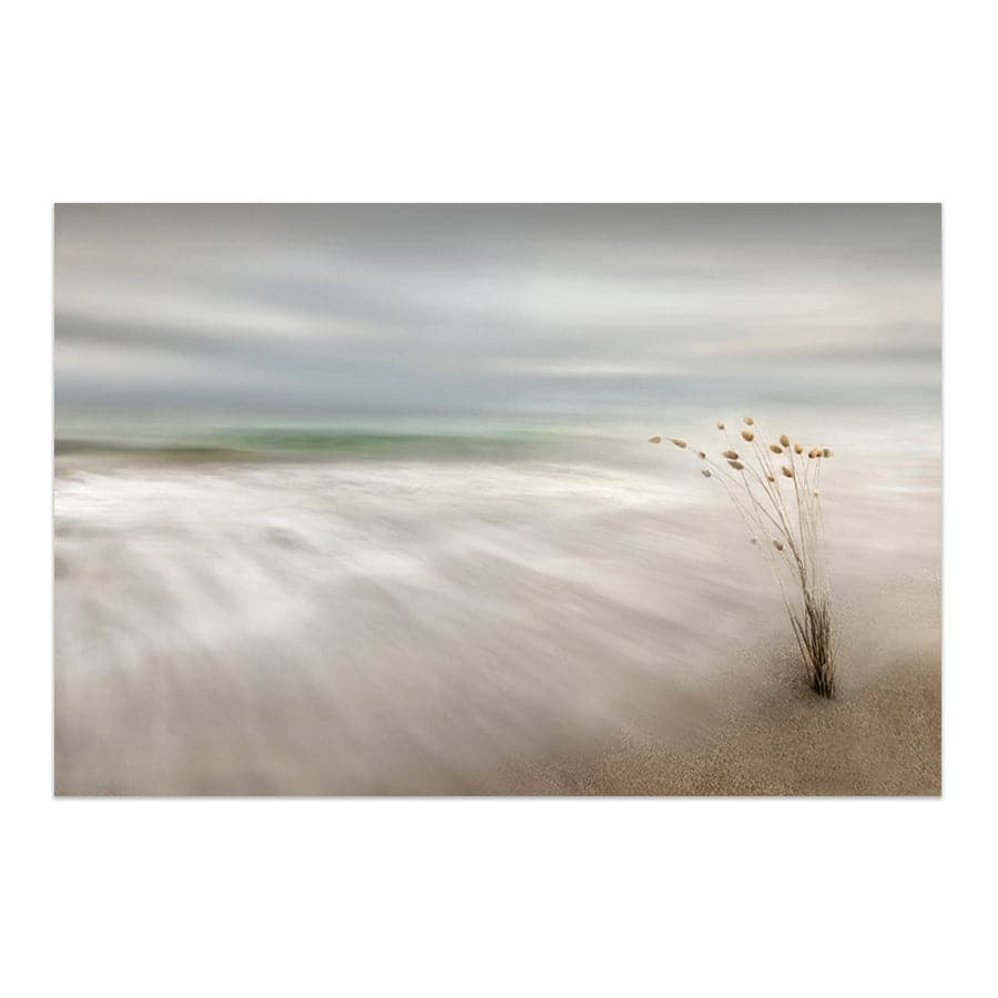Ears in the Sea by Studio Scandi III