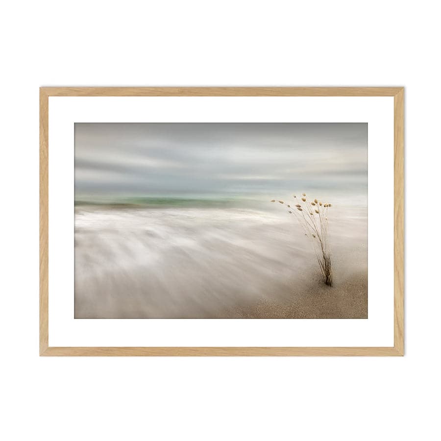 Ears in the Sea by Studio Scandi III