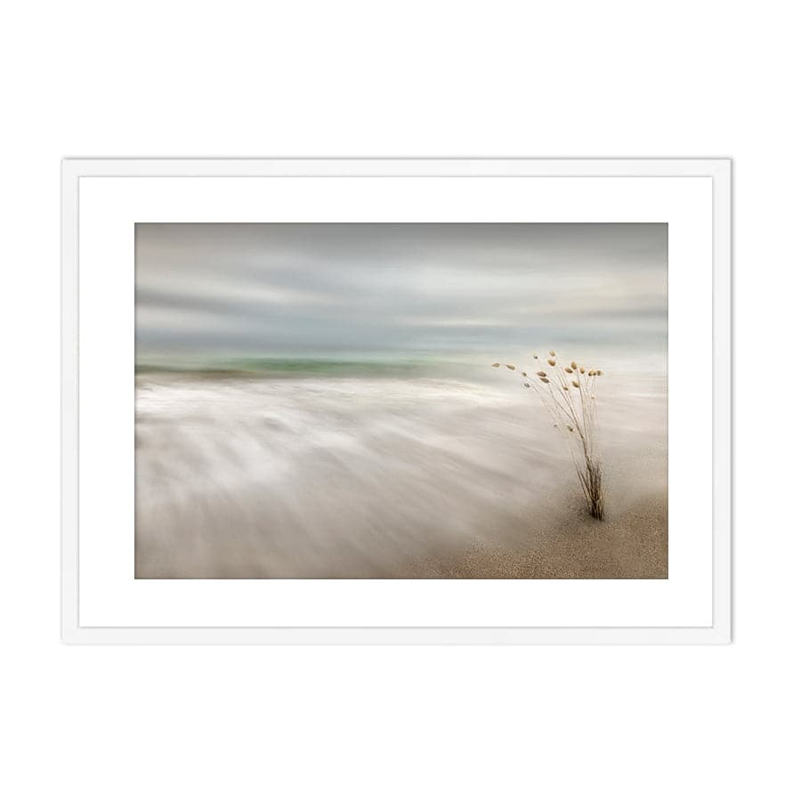 Ears in the Sea by Studio Scandi III
