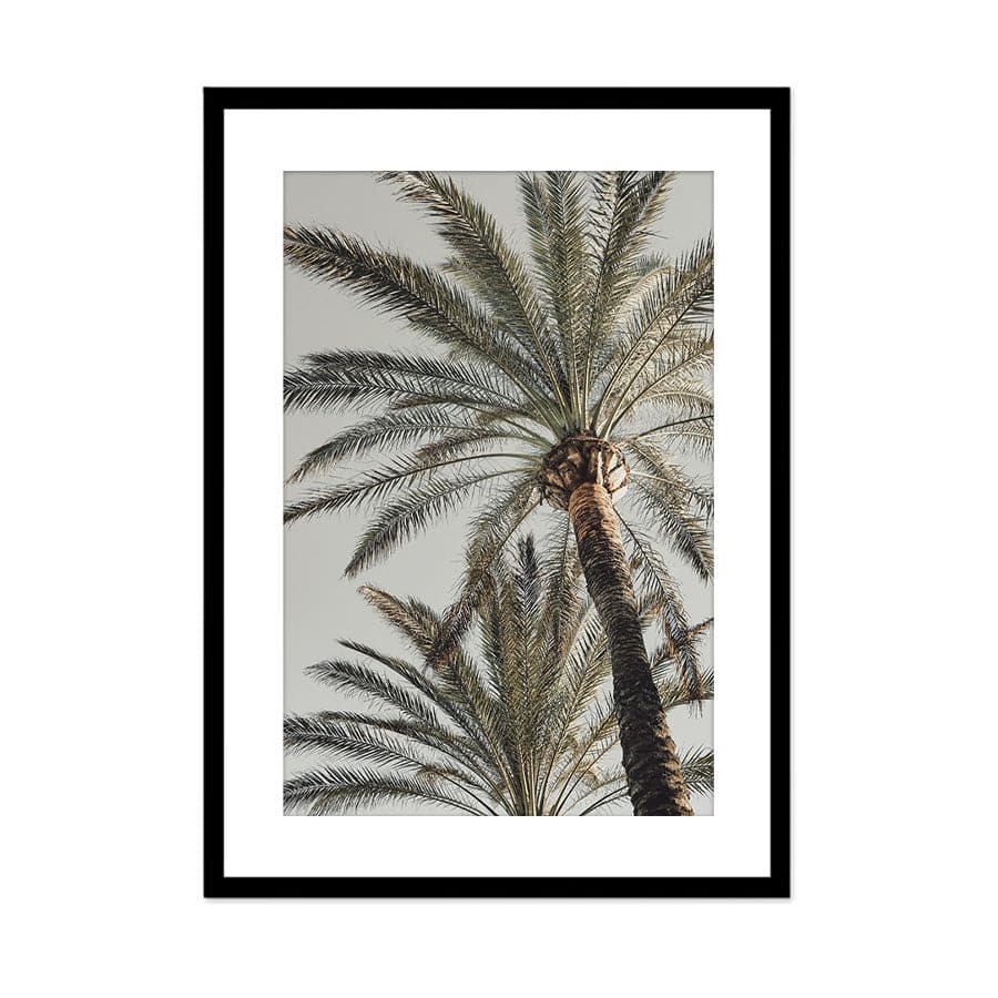 Palm 005 by Studio Scandi III