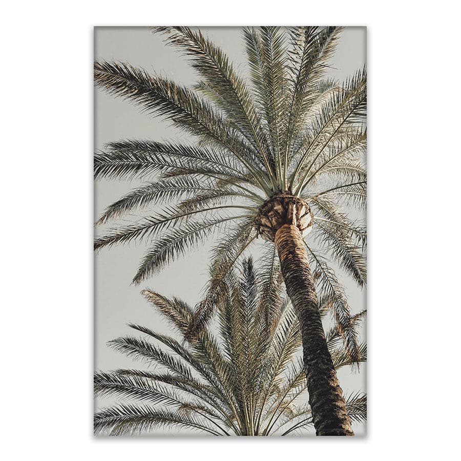 Palm 005 by Studio Scandi III