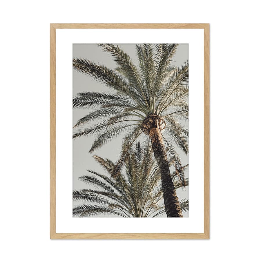 Palm 005 by Studio Scandi III