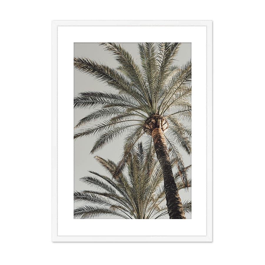 Palm 005 by Studio Scandi III