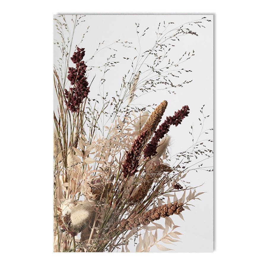 Dried Flowers 001 by Studio Scandi III