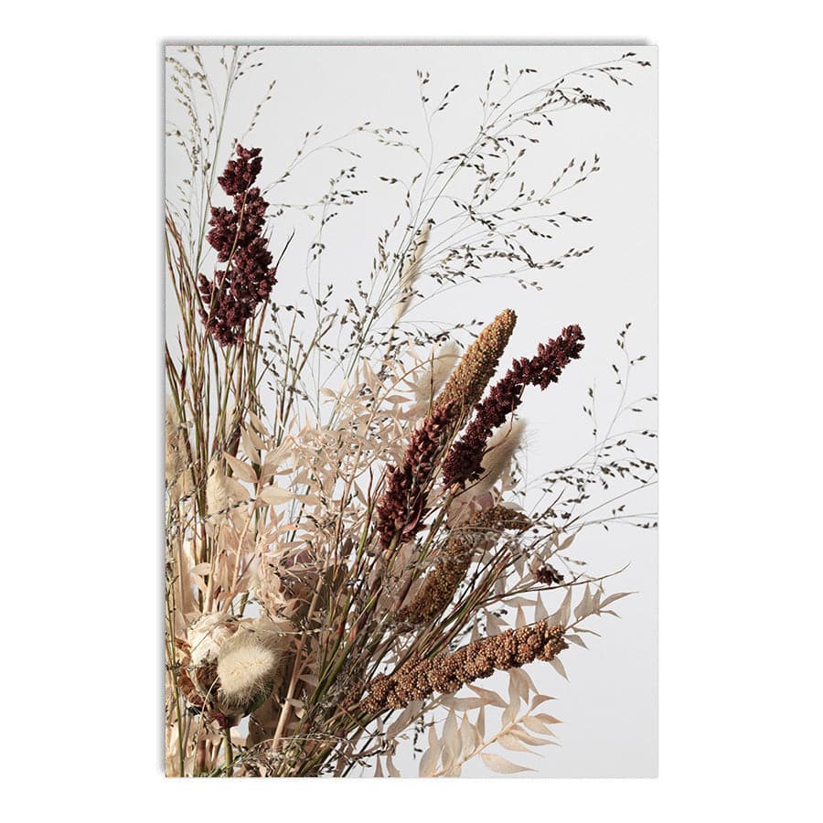 Dried Flowers 001 by Studio Scandi III