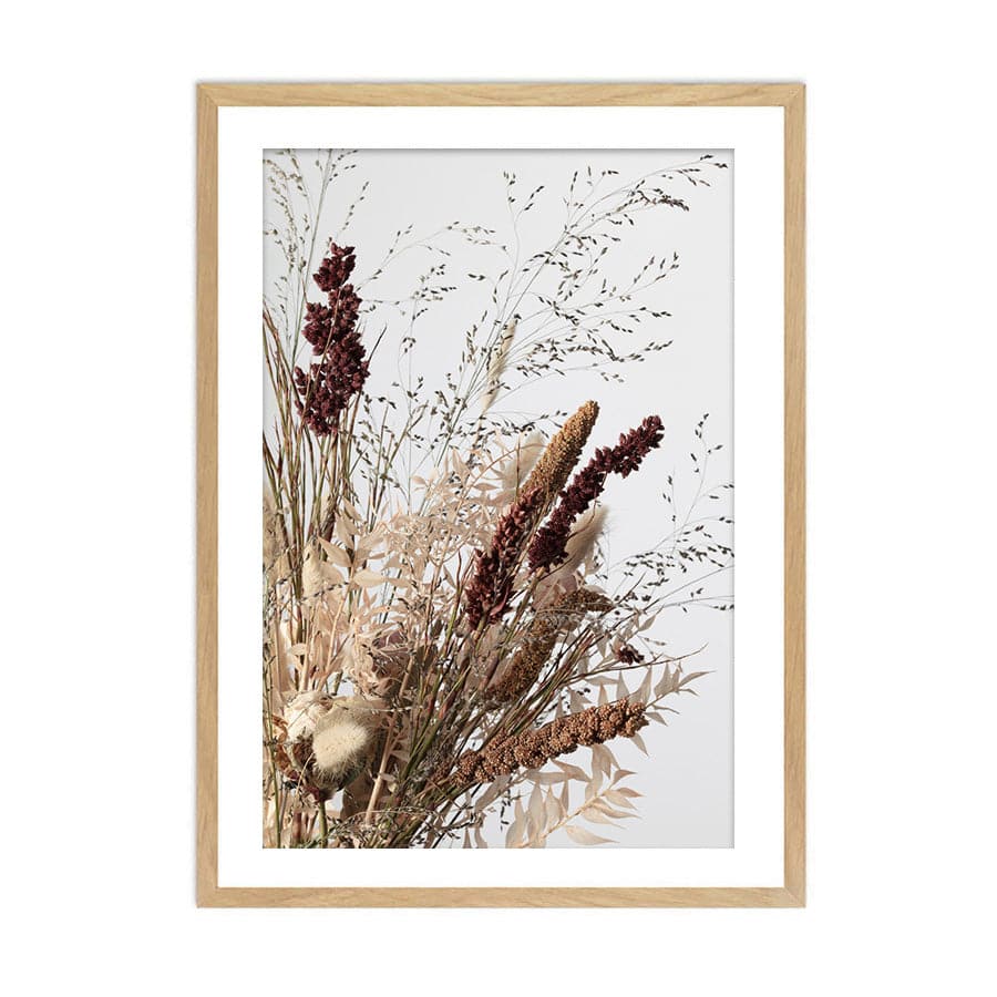 Dried Flowers 001 by Studio Scandi III