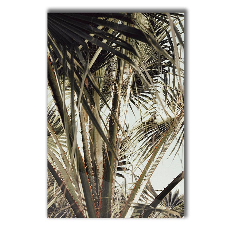 Palm Blade 006 by Studio Scandi III