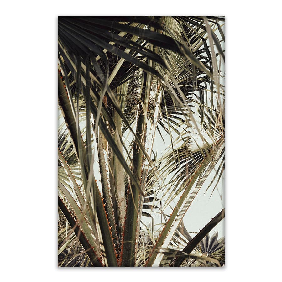Palm Blade 006 by Studio Scandi III
