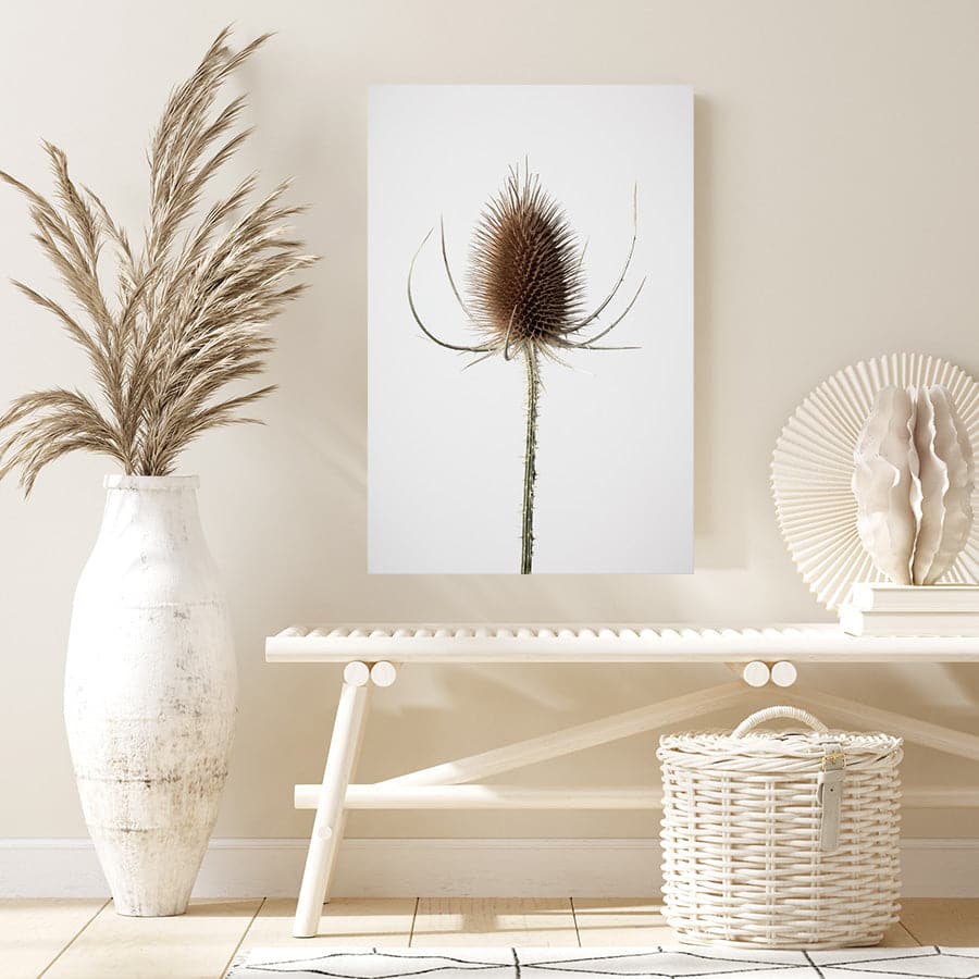 Dried Flowers 004 by Studio Scandi III