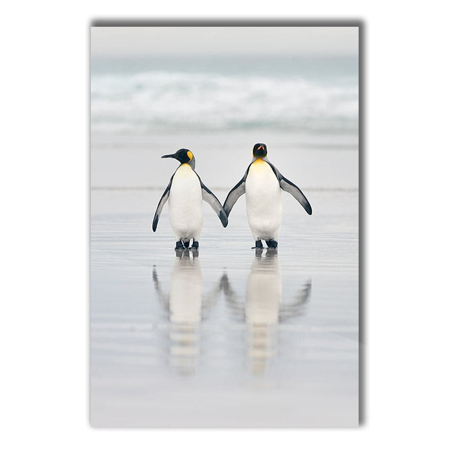 Friends by Studio Scandi III