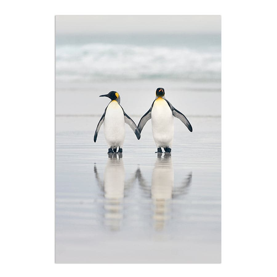 Friends by Studio Scandi III