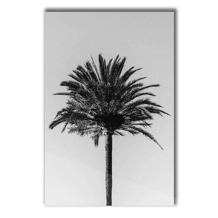 Palm 003 by Studio Scandi III