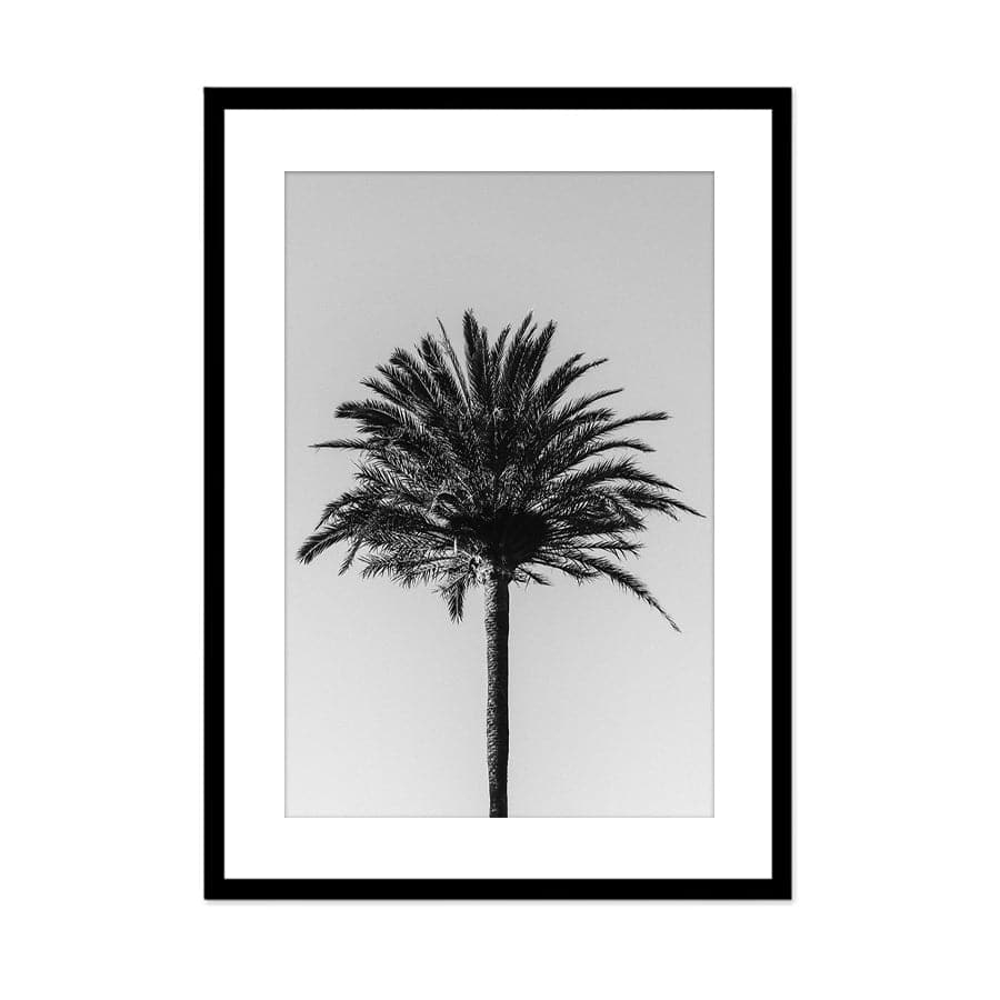 Palm 003 by Studio Scandi III