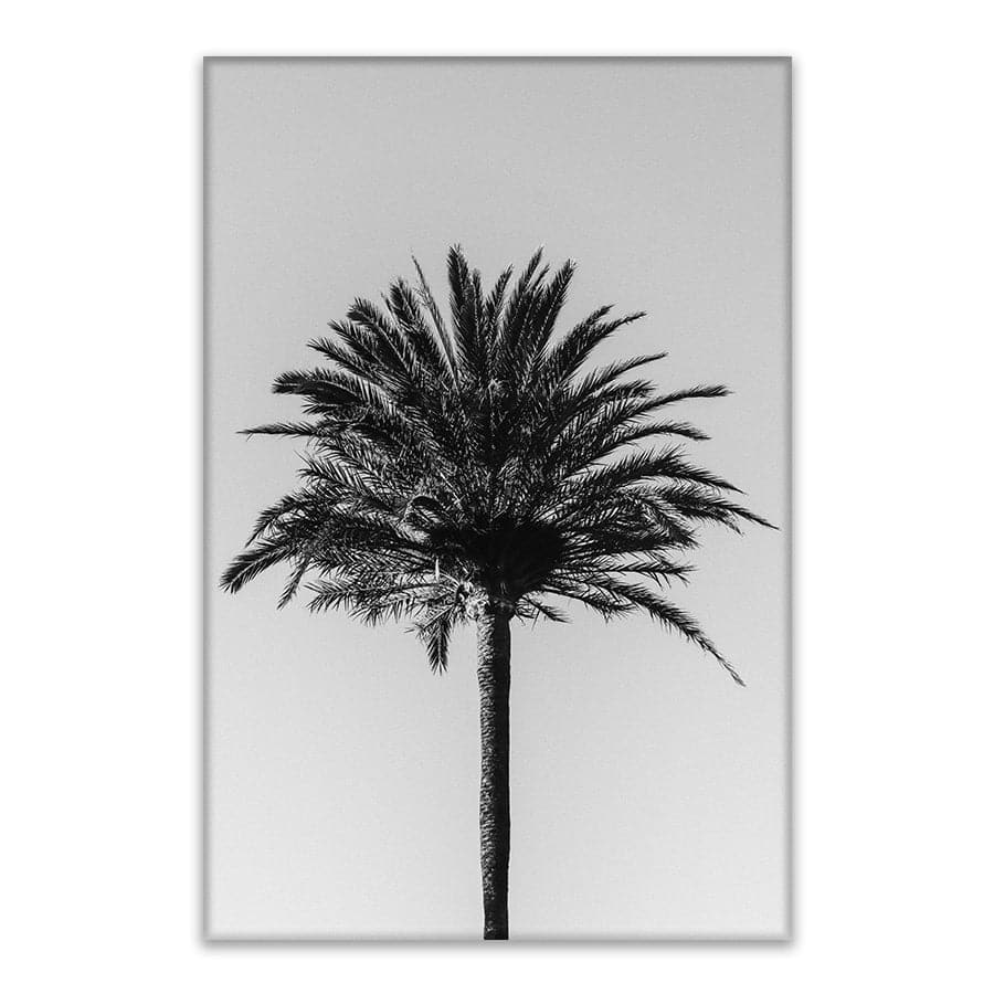 Palm 003 by Studio Scandi III