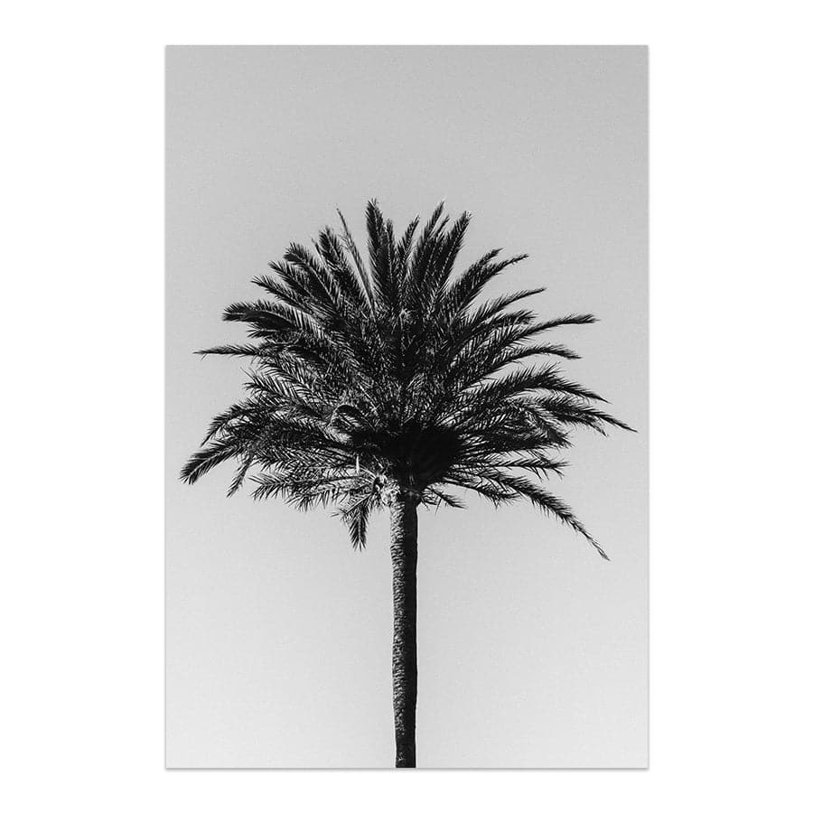 Palm 003 by Studio Scandi III