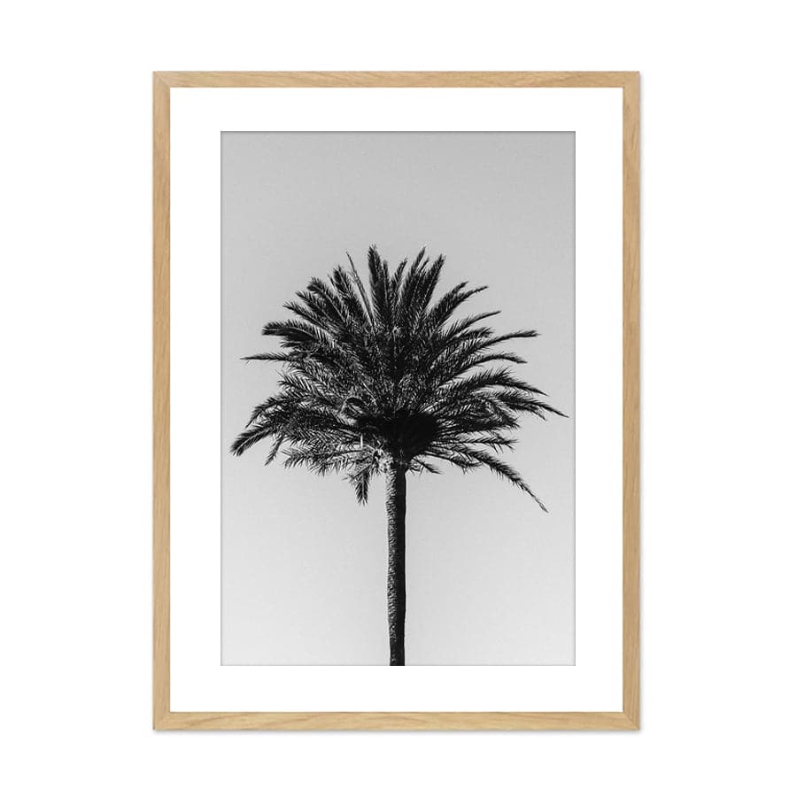 Palm 003 by Studio Scandi III