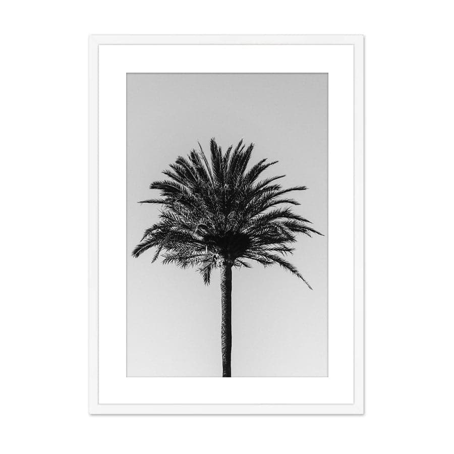 Palm 003 by Studio Scandi III