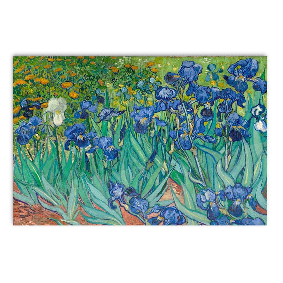 Irises by Vincent Van Gogh