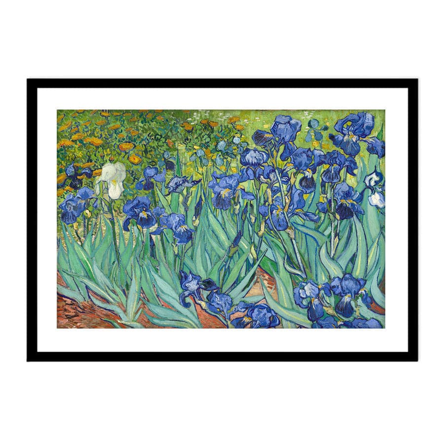 Irises by Vincent Van Gogh