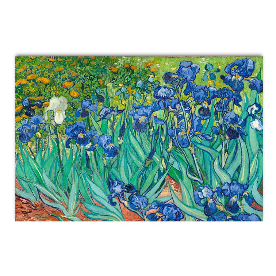 Irises by Vincent Van Gogh