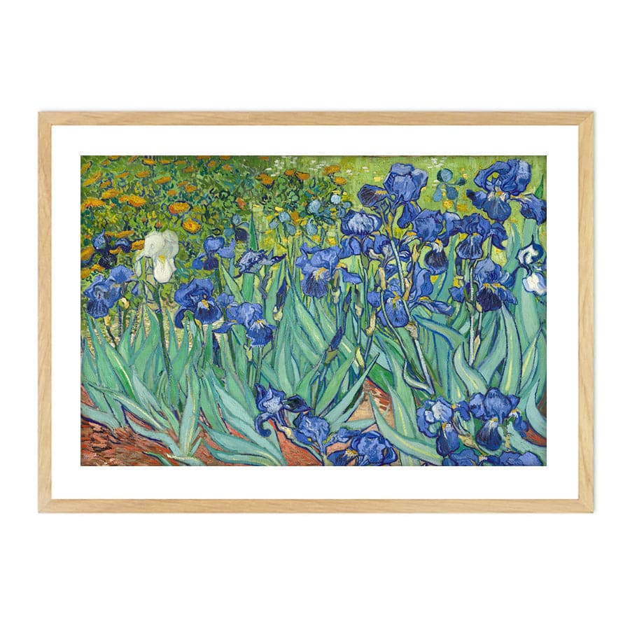 Irises by Vincent Van Gogh