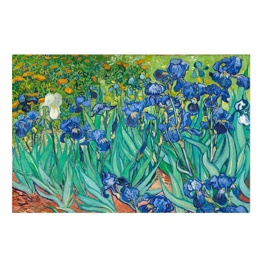 Irises by Vincent Van Gogh
