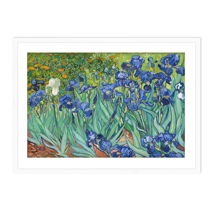 Irises by Vincent Van Gogh