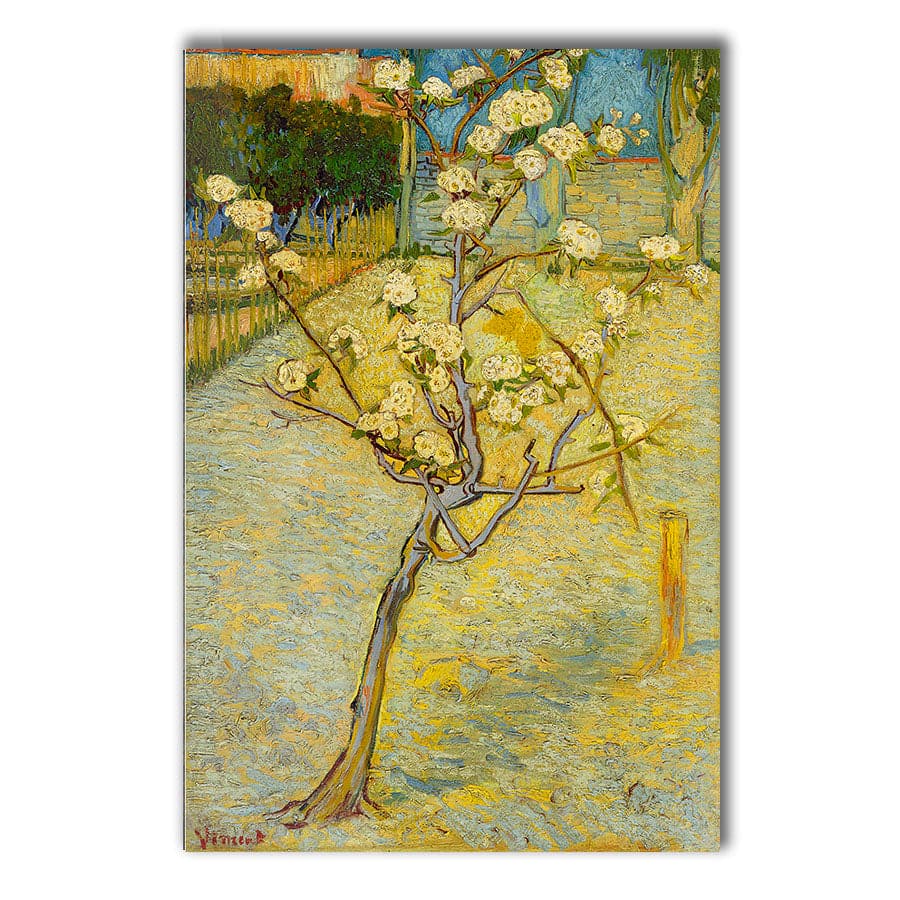 Small Pear Tree in Blossom by Vincent Van Gogh