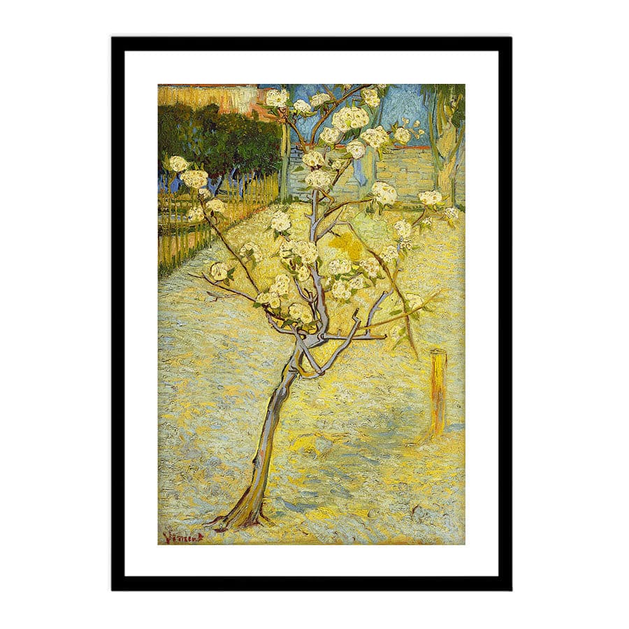 Small Pear Tree in Blossom by Vincent Van Gogh