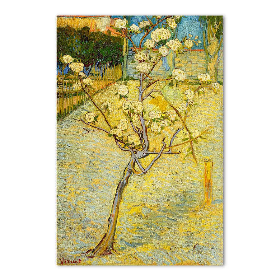 Small Pear Tree in Blossom by Vincent Van Gogh