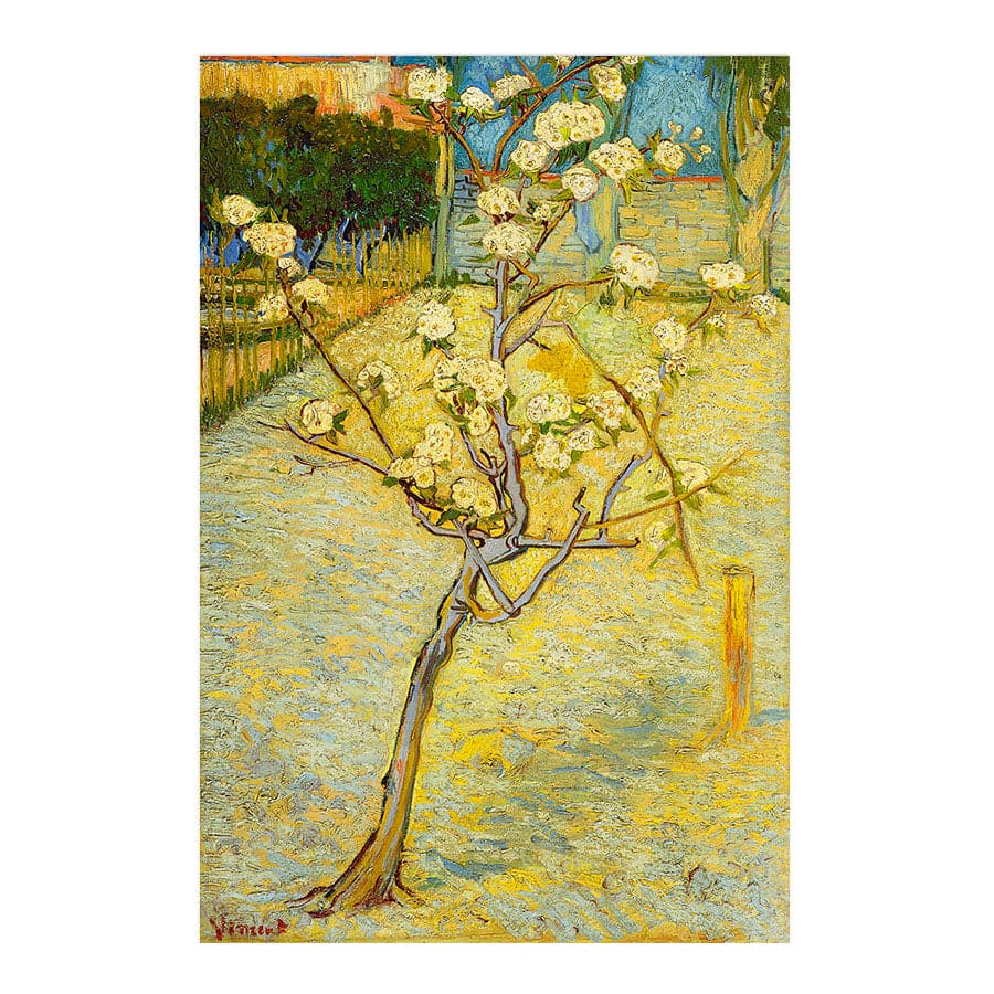 Small Pear Tree in Blossom by Vincent Van Gogh