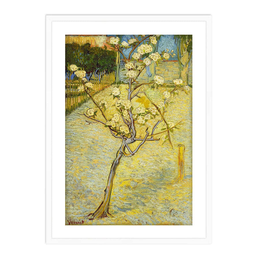 Small Pear Tree in Blossom by Vincent Van Gogh