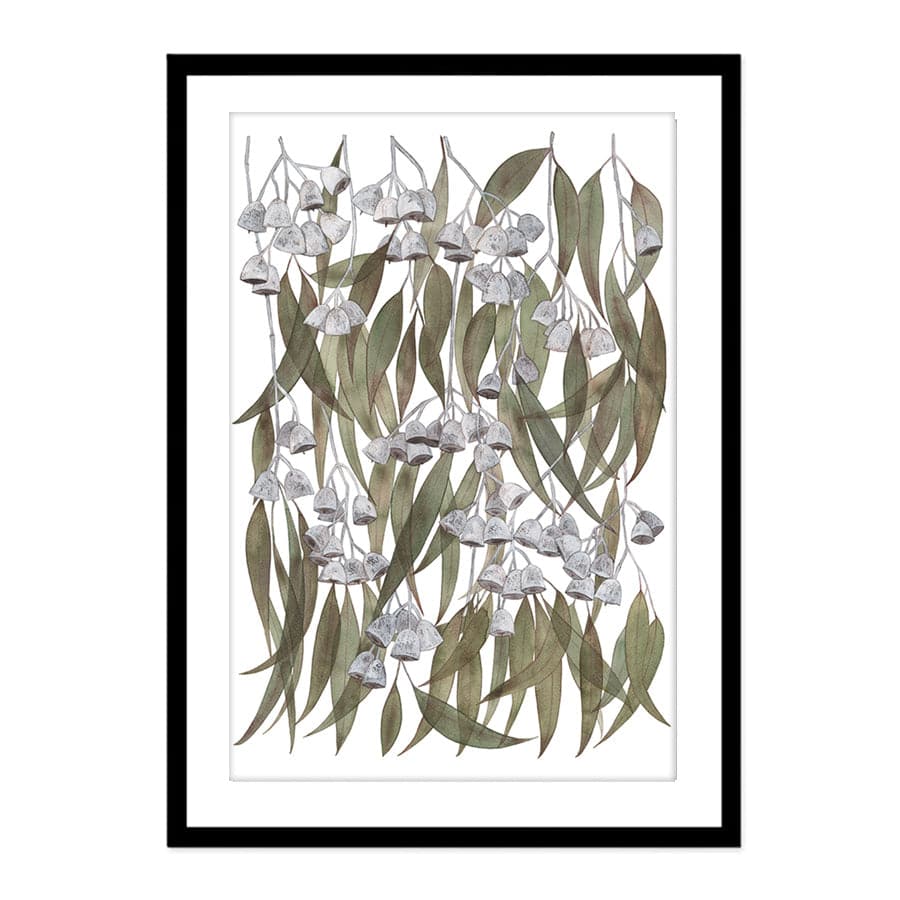 Silver Princess Eucalyptus by Natalie Ryan
