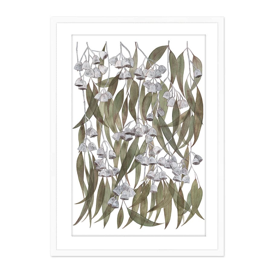 Silver Princess Eucalyptus by Natalie Ryan