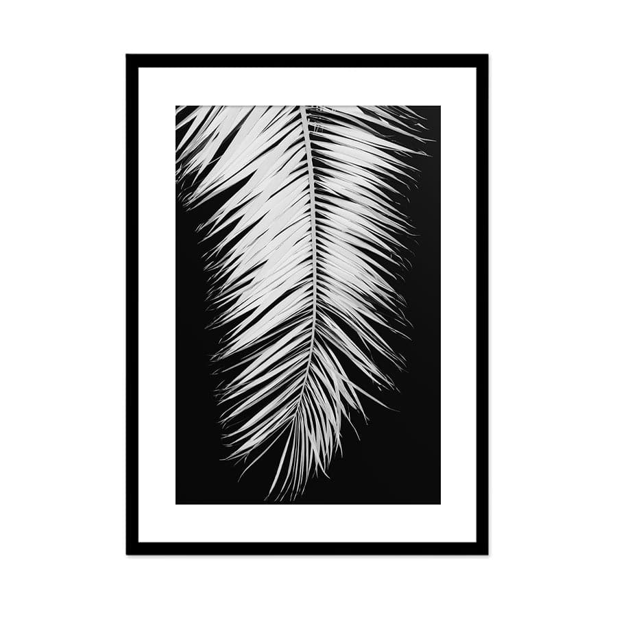 Palm Blade 004 by Studio Scandi III