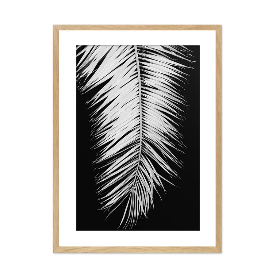 Palm Blade 004 by Studio Scandi III