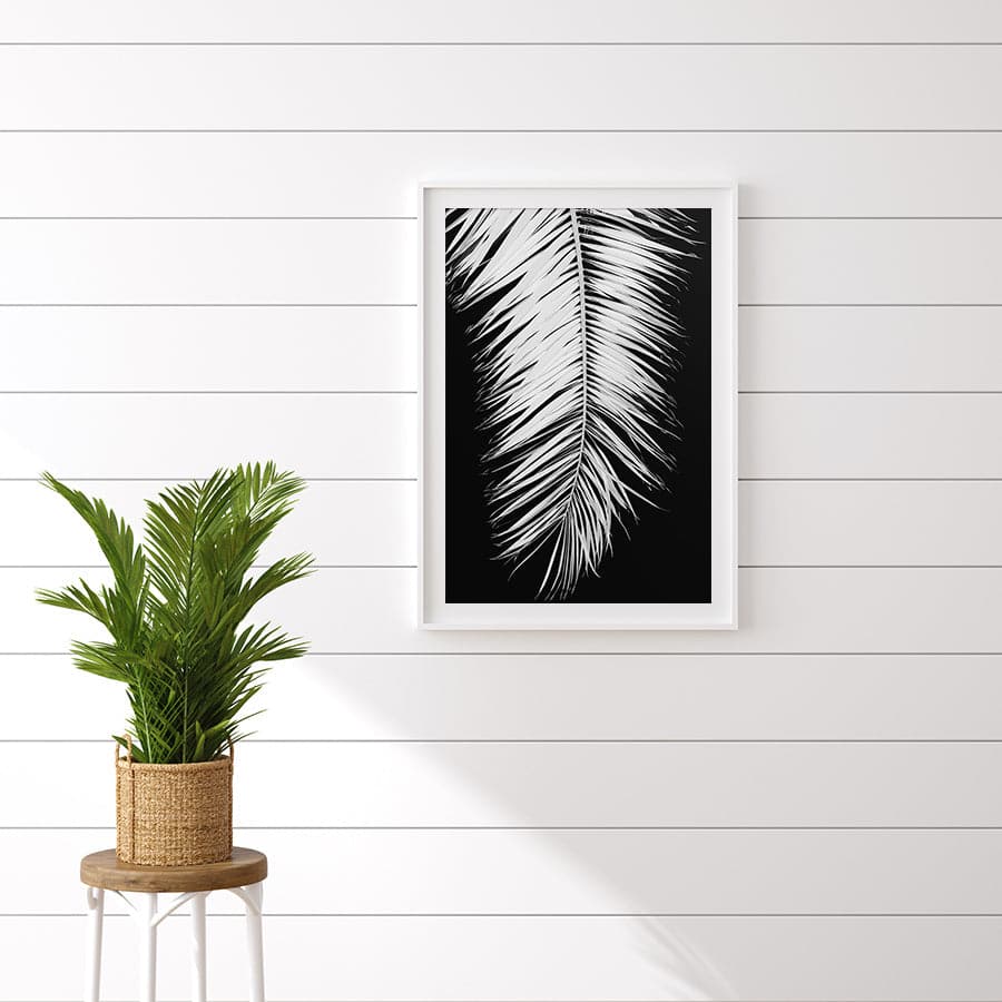 Palm Blade 004 by Studio Scandi III