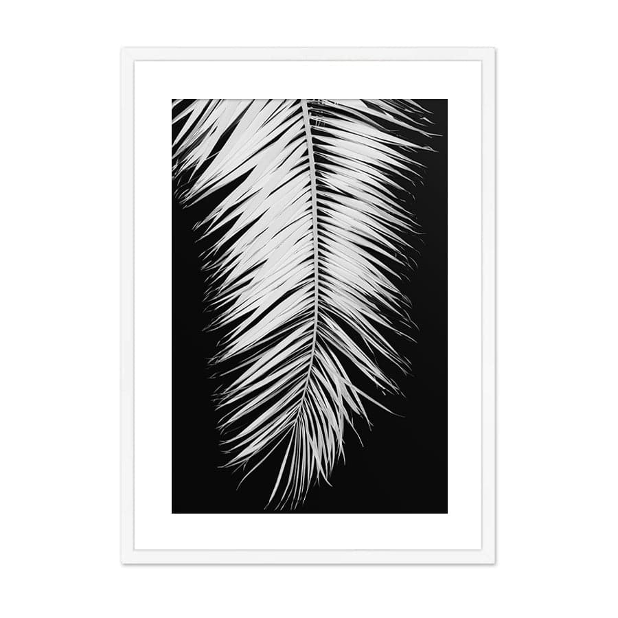 Palm Blade 004 by Studio Scandi III