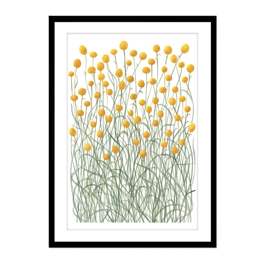 Billy Buttons by Natalie Ryan