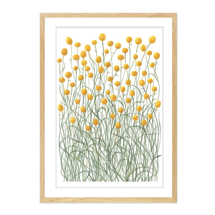 Billy Buttons by Natalie Ryan