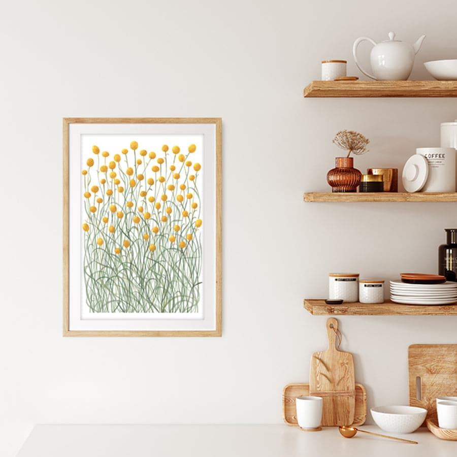 Billy Buttons by Natalie Ryan